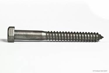 Lag Screw